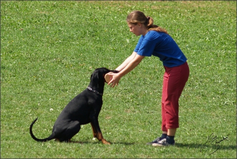 SVV exam - 25. 8. 2007 - Jelenec - Slovakia